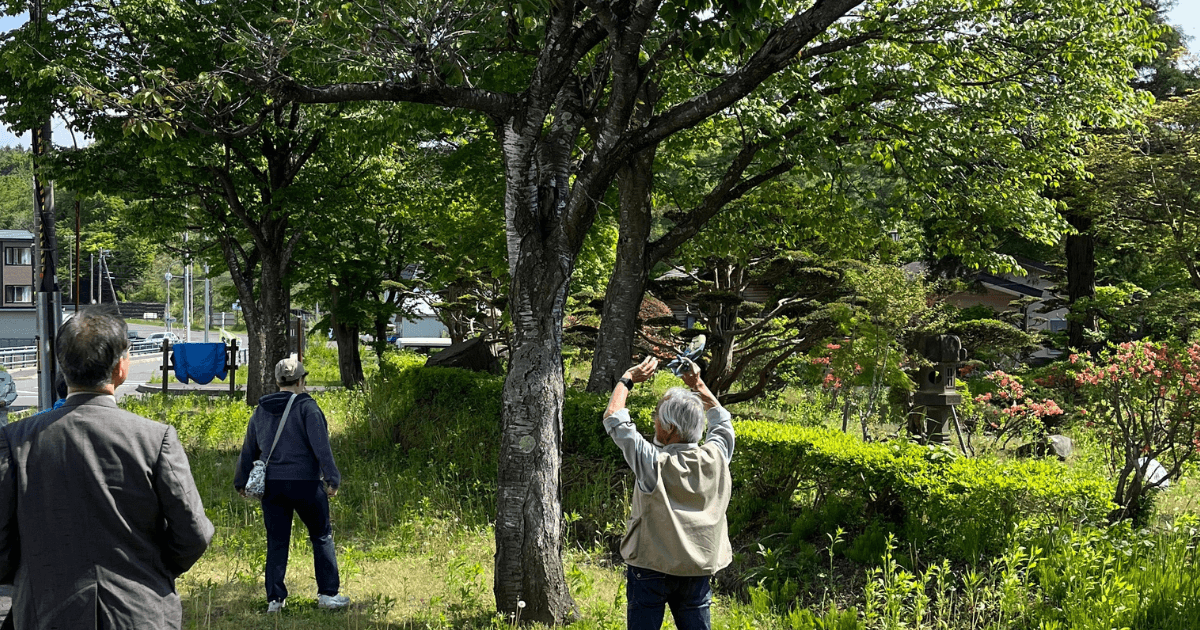桜を守り育てる会