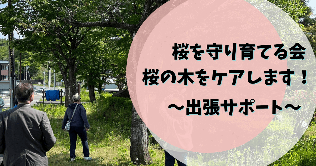 桜を守り育てる会,活動内容