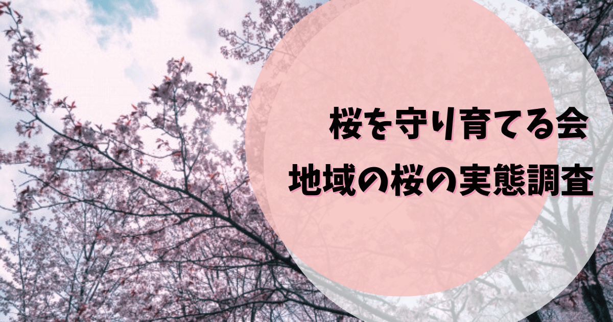 桜を守り育てる会,活動内容