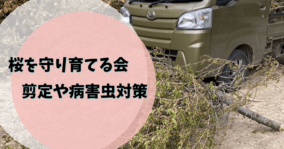 桜を守り育てる会,活動内容