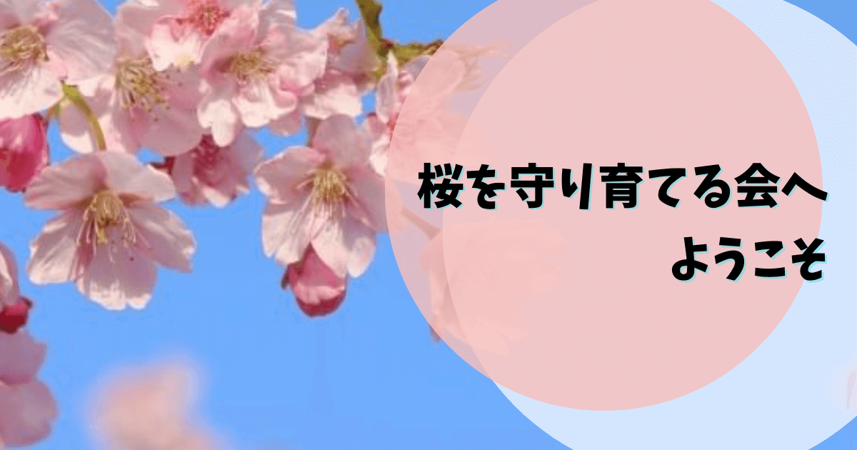 桜を守り育てる会,あいさつ