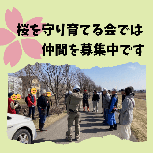 桜を守り育てる会