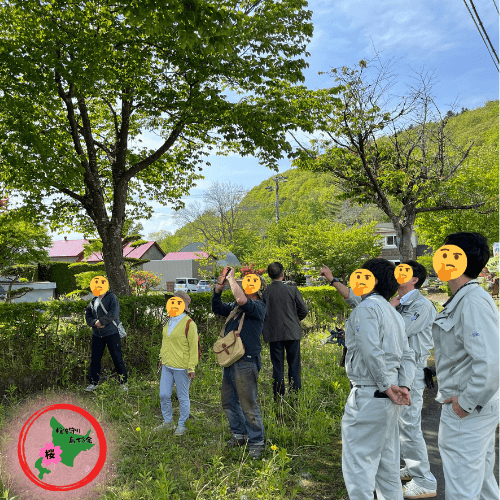 桜を守り育てる会,活動内容