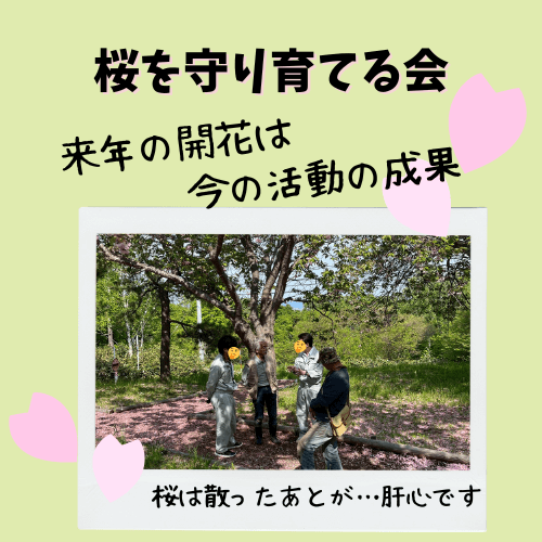 桜を守り育てる会