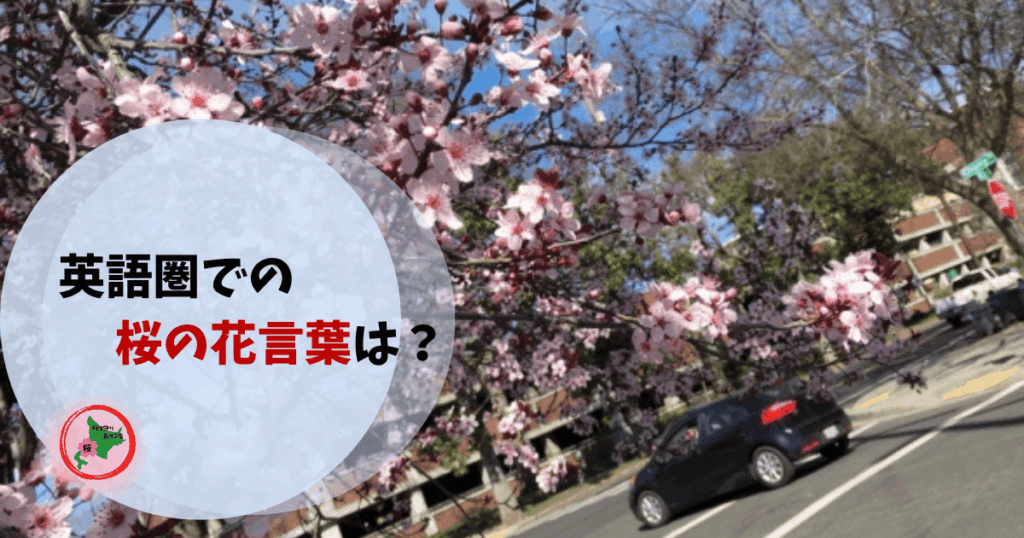桜を守り育てる会,桜,花言葉