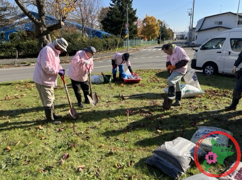 恵庭,桜,グリーンベルト,市役所