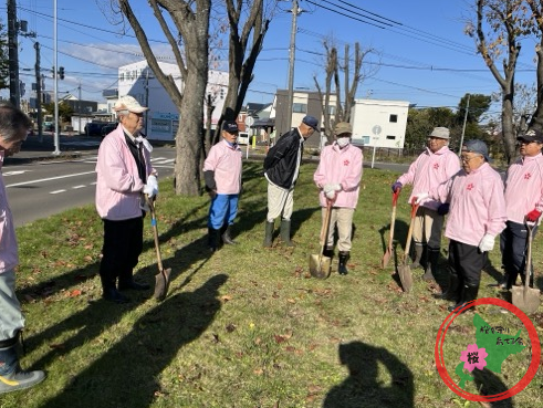 恵庭,桜,グリーンベルト,市役所