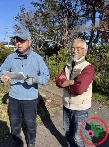 恵庭,桜,グリーンベルト,市役所