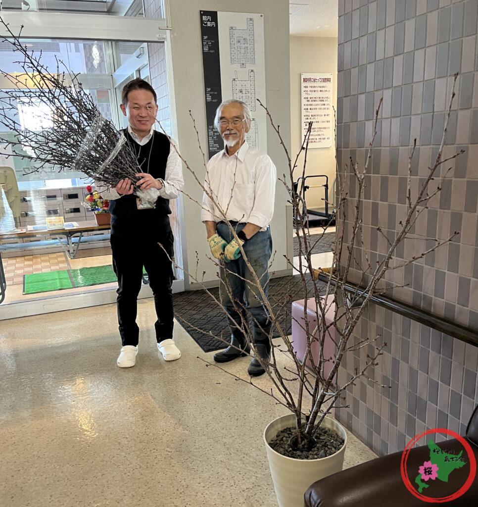 NPO法人桜を守り育てる会,北広島市,剪定,桜の枝,プレゼント