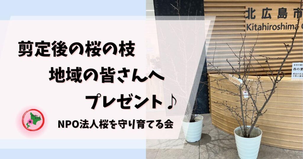 NPO法人桜を守り育てる会,北広島市,剪定,桜の枝,プレゼント