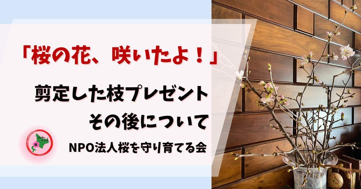 NPO法人桜を守り育てる会,2026年,桜の枝,無料プレゼント
