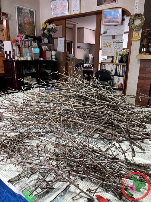 NPO法人桜を守り育てる会,2026年,桜の枝,無料プレゼント