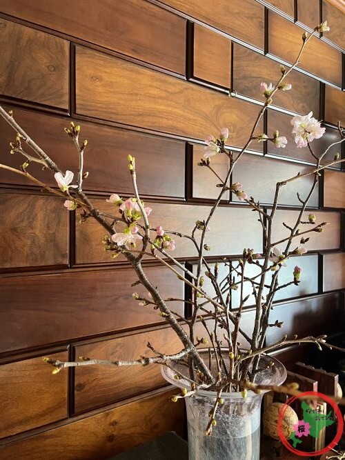 NPO法人桜を守り育てる会,2026年,桜の枝,無料プレゼント