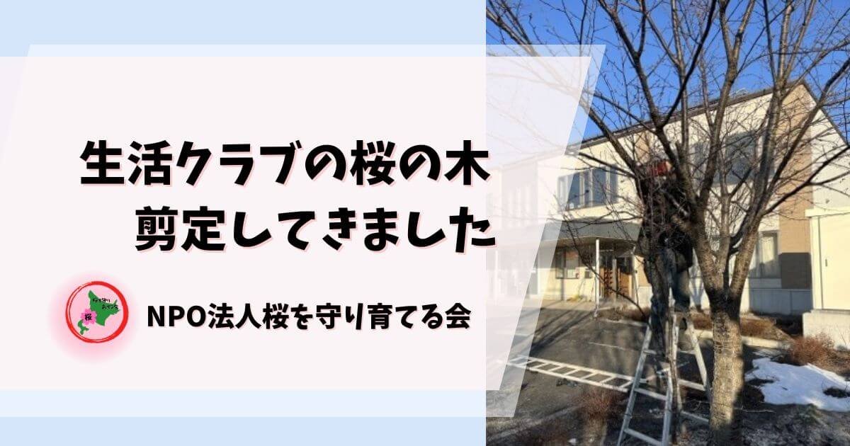 生活クラブ,北広島,桜を守り育てる会,剪定