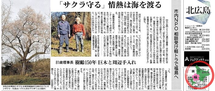 桜を守り育てる会,福島,理事長,北海道新聞,取材