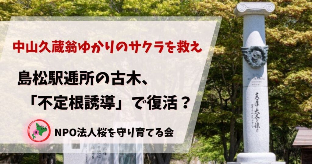NPO法人桜を守り育てる会,北広島市,島松駅逓