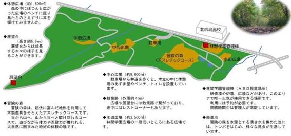 NPO法人桜を守り育てる会,活動報告,レクの森,島松