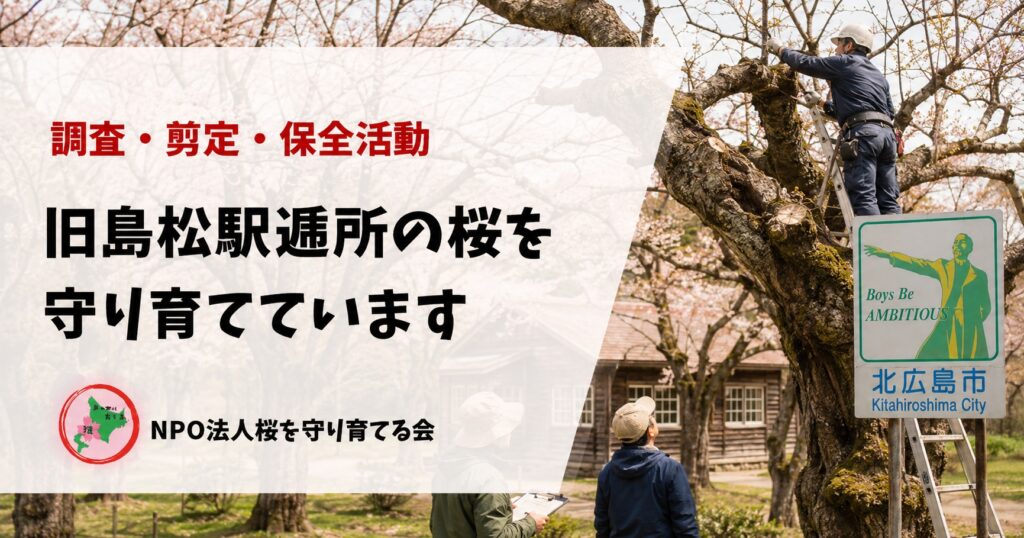 旧島松駅逓所,クラーク博士,馬上像,北広島市,NPO法人桜を守り育てる会,桜